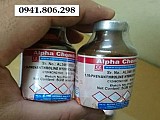 1,10-Phenanthroline hydrochloride monohydrate