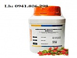 ARGININE DIHYDROLASE BROTH