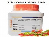 DEXTROSE TRYPTONE AGAR