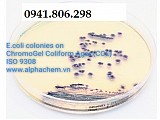 Môi trường ChromoGel Coliform Agar ISO 9308-1