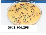 Môi trường ChromoGel Listeria mono 90mm