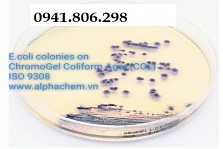 ../view-223x149/moi-truong-chromogel-coliform-agar-iso-93081_p_2707.jpg