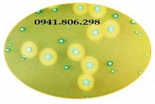 ../view-223x149/moi-truong-chromoget-listeria-agar_p_2709.jpg