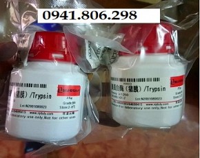 Enzyme trypsin chuyên dụng