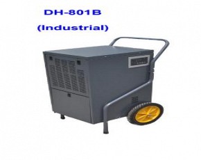 MÁY HÚT ẨM  DH-801B