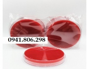 Môi trường Blood Sheep Agar