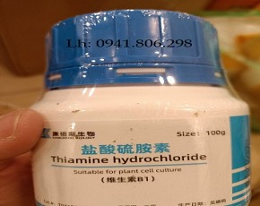 Thiamine hydrochloride