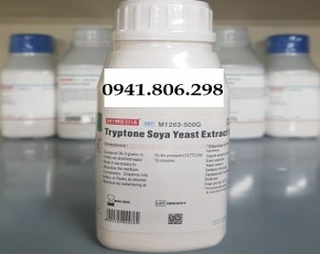 Tryptone Soya Yeast Extract Broth